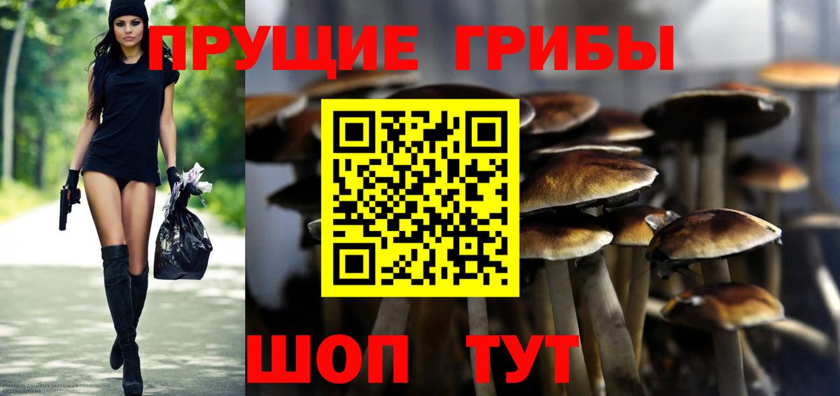 Семёнов  Галлюциногенные грибы ЛСД  Вход с VPN 